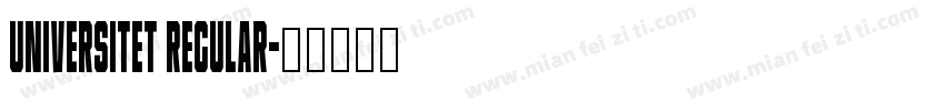 Universitet Regular字体转换